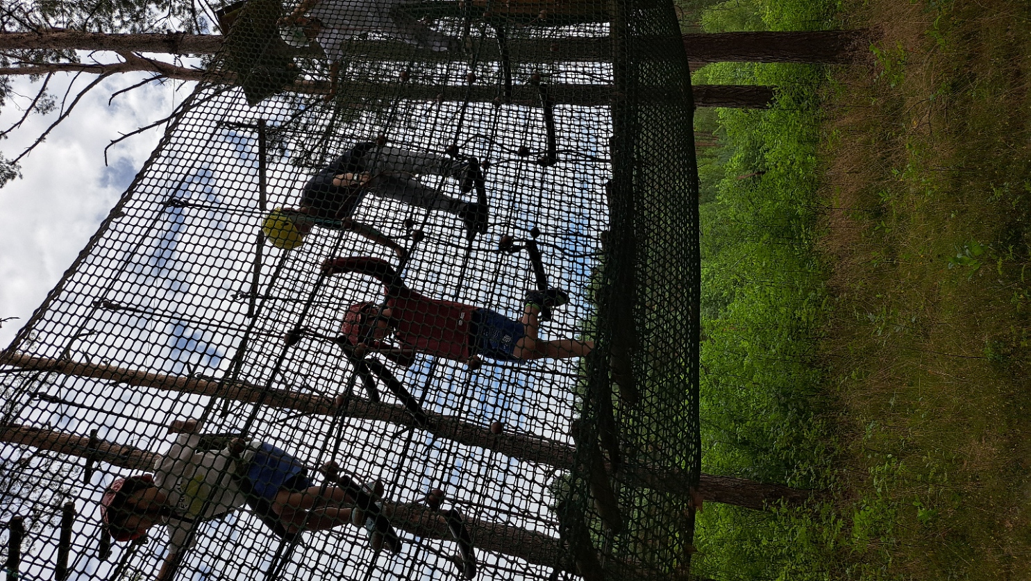 Dzieci w parku linowym